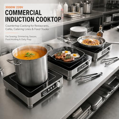 3000W Commercial Induction Burner, 208-240V Countertop Cooktop - size: 3000W/220 V induction cooktop