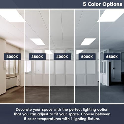 LUXRITE 2x4 FT LED Flat Panel Light, LED Drop Ceiling Lights (2 Pack) - size: 2 Count (Pack of 1)