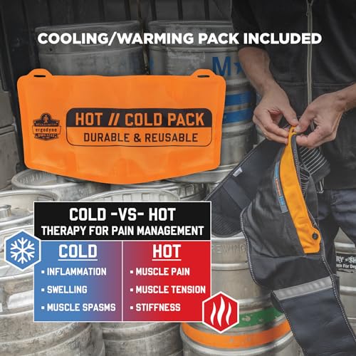 Ergodyne Proflex 1675 Back Support Brace Belt with Warming and Cooling Pack - size: Large