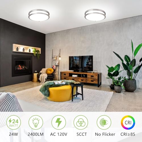 2-Pack LED Ceiling Light Fixtures, 24W 2400LM Flush Mount Light Fixture, Brushed Nickel Dimmable Light Fixture 5CCT 3000-6000K, 10inch Ceiling Lamp for Hallway Bathroom Kitchen - color: Brushed Nickel, size: 10 inch