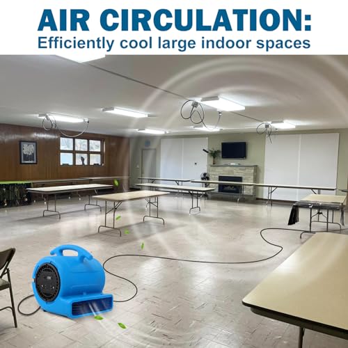 MOUNTO 1/4hp 1000CFM 2 Speed Air Mover Carpet Dryer Floor Fan Cooling Fan (Blue) - color: Blue