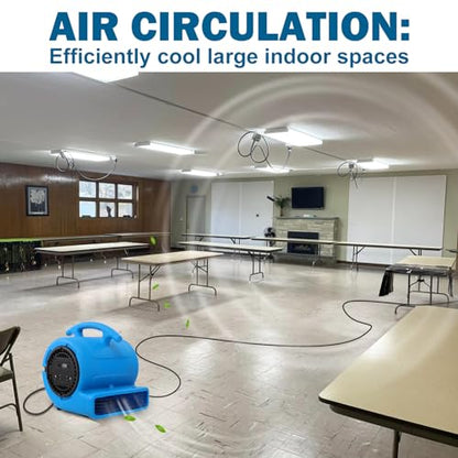 MOUNTO 1/4hp 1000CFM 2 Speed Air Mover Carpet Dryer Floor Fan Cooling Fan (Blue) - color: Blue