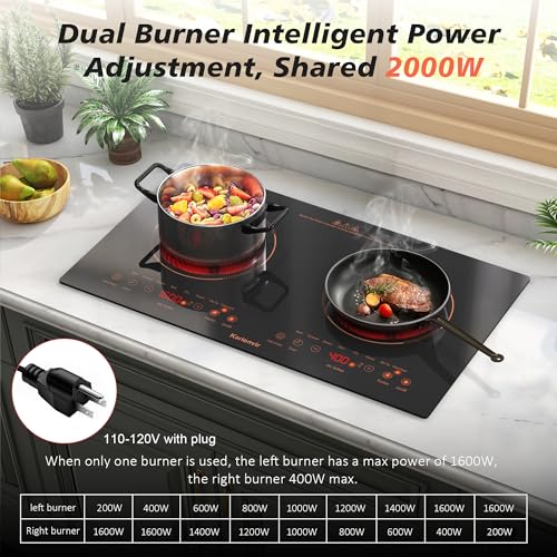 2 Burner Electric Cooktop 110V, 2000W, 24" Countertop & Built-in - size: 24 Inch 2 Burner Orange