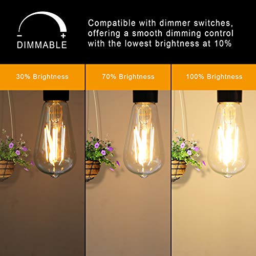 Ascher Dimmable Vintage LED Edison Bulbs, 6W, Equivalent 60W, 700lm, Warm White 2700K, 80+ CRI, ST58 Antique LED Filament Bulbs, E26 Medium Base, Clear Glass, Pack of 6 - style: Warm White 2700k(6 Pack)