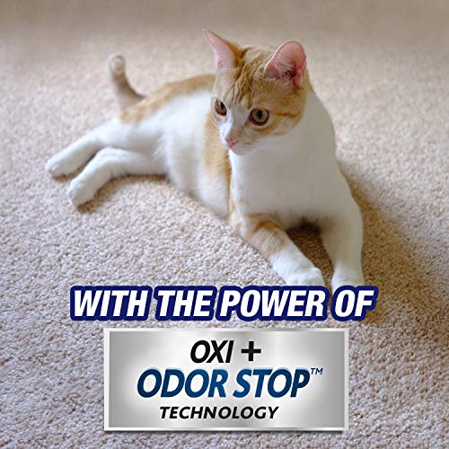 Resolve Ultra Pet Odor and Stain Remover Spray – Carpet Cleaner for Cat and Dog Urine and Poop, 32oz (Pack of 2) - size: 32 Ounce (Pack of 2)
