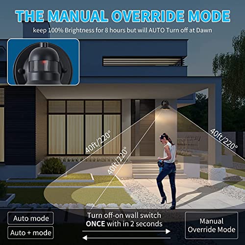 LONEDRUID 2 Pack Dusk to Dawn Motion Sensor Outdoor LED Wall Light Fixture - color: Black