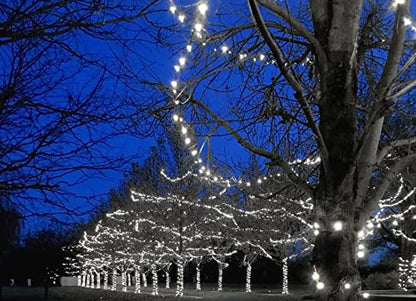 Novelty Lights 50ft 100 LED Pure White Christmas String Lights, Green Wire - color: Pure White