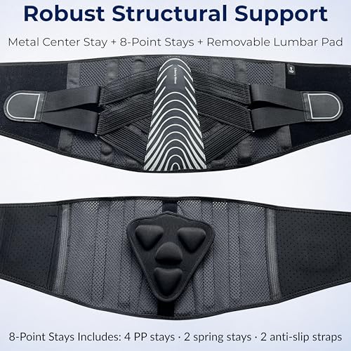 Adjustable Back Brace for Men Lower Back Pain, Modern Back Support Belt - size: XL/XXL(Waist: 49"-59" )