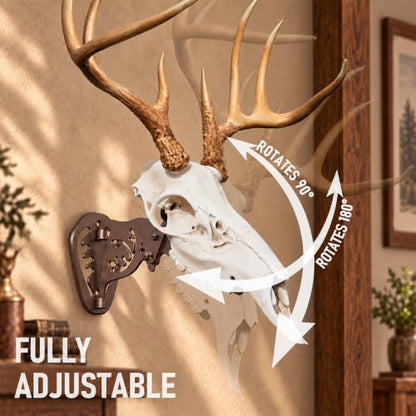 MSSOHKAN European Mount Skull Hanger – Adjustable Deer Skull Mount Wall Bracket, Antler Style Trophy Display for Antelope, Hog, Bear – Heavy-Duty Steel Brown - color: Brown