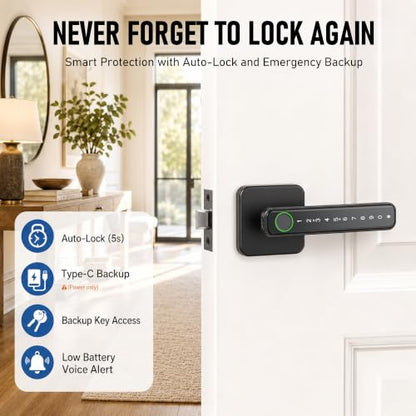 Smart Fingerprint Door Lock Knob, Biometric Keyless Entry Bedroom Handle - color: Black 02