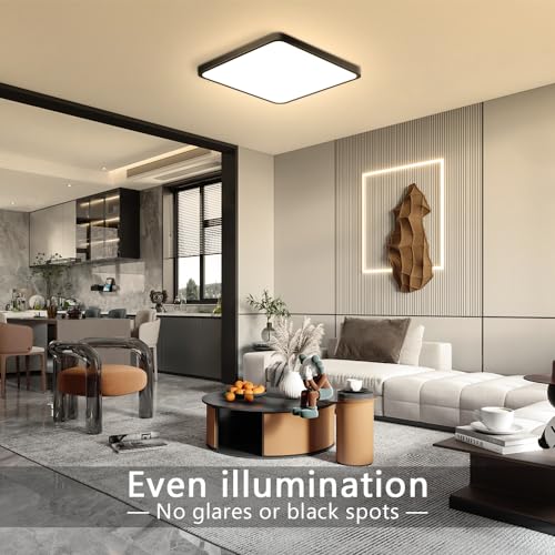 LightingWill 12Inch 24W Square LED Ceiling Light Fixtures Flush Mount, 3000K Warm White LED Ceiling Lamp, Black Surface Mount Modern Ceiling Lights for Bedroom, Kitchen, Hallway and Living Room - color: Warm White, size: 12 inch Black
