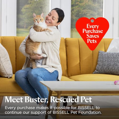 BISSELL Little Green ProHeat Pet Portable Deep Cleaner, 3969 - style: Little Green ProHeat