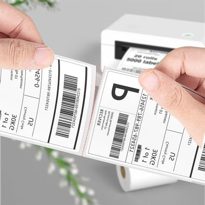 FungLam 4"X6" Thermal Shipping Labels, 5000 Labels, 20 Rolls, Compatible with Rollo, Munbyn, iDPRT Thermal Printers - size: 20 Rolls