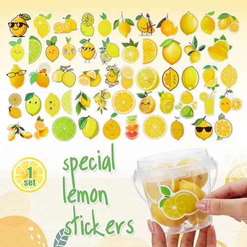 Funnymoom 93 Pcs Lemonade Stand Supplies Include 2 Pack 2.3 Gallon Iced Beverage Dispenser with Spigot 30 Sets 16 oz Lemonade Drink Buckets with Handle Lids Straws Stickers for Party Outdoor Summer