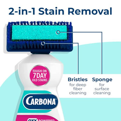 Carbona 2-in-1 Oxy-Powered Carpet Cleaner (13.5 Fl Oz), Spot Cleaner with Dual Sponge & Bristle Applicator for Targeted Cleaning, Fast Formula - size: 13.5 Fl Oz