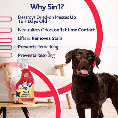 Resolve® 5-in-1 Pet Carpet Cleaner Spray for Stains & Odors, 22oz - size: 22 Fl Oz (Pack of 1)