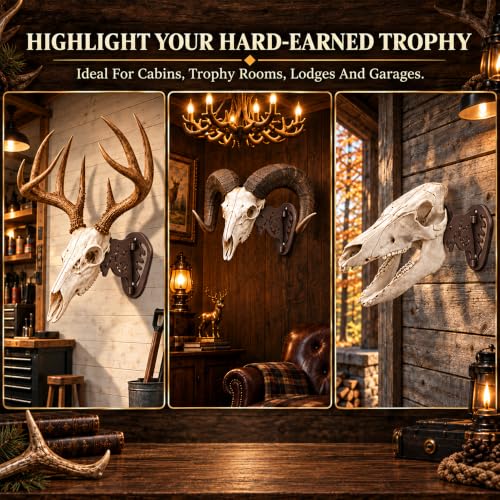 MSSOHKAN European Mount Skull Hanger – Adjustable Deer Skull Mount Wall Bracket, Antler Style Trophy Display for Antelope, Hog, Bear – Heavy-Duty Steel Brown - color: Brown
