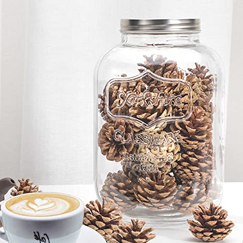 CATPOWER 1 Gallon Large Glass Jar With Mouth Canning Jar Kitchen Storage Jar Cookie Candy Penny Jar with Stainless Steel Screw Lid