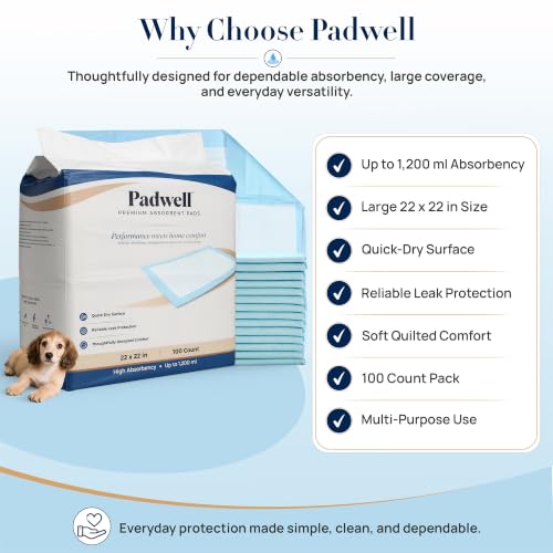 Absorbent Pads, Home Protection Pee Pads, 22 x 22 Inches, 100 Count - size: 100 Count