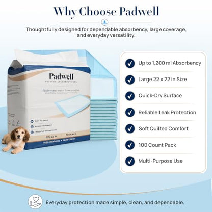 Absorbent Pads, Home Protection Pee Pads, 22 x 22 Inches, 100 Count - size: 100 Count