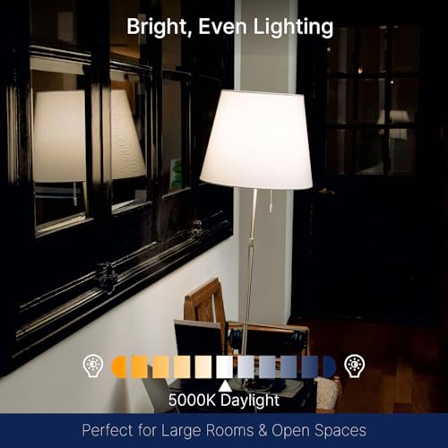 FLSNT 100W Equivalent LED Edison Bulbs, ST19/ST58 Dimmable LED Light Bulbs for Kitchen, Dining Room, High Brightness with 1000LM, 5000K Daylight, 8W, E26 Base, 4 Pack - color: 100w 5000k Dayghlit, size: 4 Count (Pack of 1)