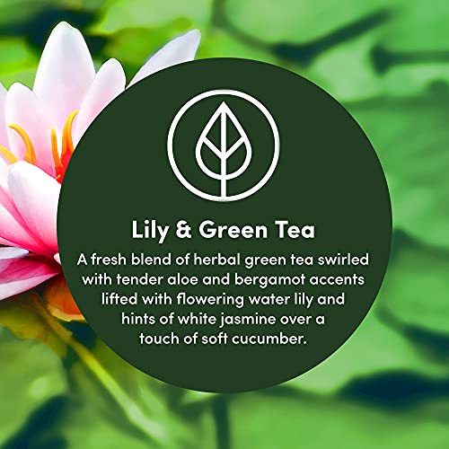 Clean Revolution Multi Surface Cleaner Refill Supply, Non-Toxic, Eco-Friendly & Plant-Based, Ready to Use, Lily & Green Tea, 128 Fl Oz (1 Gallon) - size: 128 Fl Oz (Pack of 1)