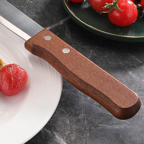 New Star Foodservice 10 Inch Steak Knife Set of 12, Jumbo Serrated Stainless Steel Knives with 5 Inch Rounded Blades and Wood Handles
