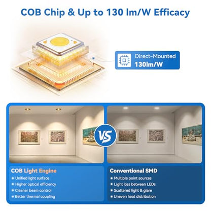 CycevSun Gold 4 Inch Anti-Glare Recessed Light COB 24°Spotlight, 6-Pack - color: Gold, size: 4 Inch