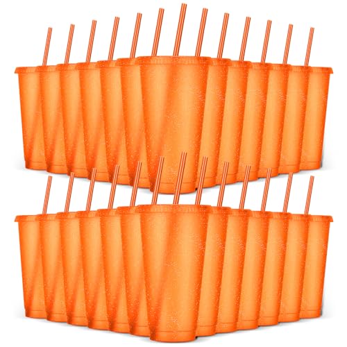 24 Pack Plastic Tumblers with Lids and Straws, Reusable Colorful Cups for Parties, Birthdays, Iced Coffee, Travel, Cold Drink Bulk Tumblers (24 oz, Orange) - color: Orange-24pcs