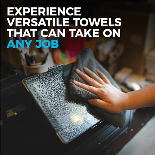 The Rag Company - All-Purpose Microfiber Terry Cleaning Towels - Commercial Grade, Highly Absorbent, Lint-Free, Streak-Free, Kitchens, Bathrooms, Offices, 300gsm, 12in x 12in, Green (12-Pack) - color: Green, size: 12in x 12in