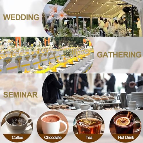 Commercial Coffee Urn 120 Cup Large Coffee Urn 20L Coffee Maker Stainless Steel Double Wall Coffee Percolator 1300W Quick Brew Hot Beverage Dispenser for Events, Parties, Catering, Gathering, Hotels - size: 20 Liters