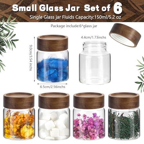 5oz Glass Spice Mason Jars with Screw Wood Lid 6 pcs Airtight Small Glass Jars Seasoning Herb Containers Food Storage Canister for Sugar Coffee Bean Ground Candy Salt Overnight Oat (5oz/150ml*6) - color: 5oz/150ml*6