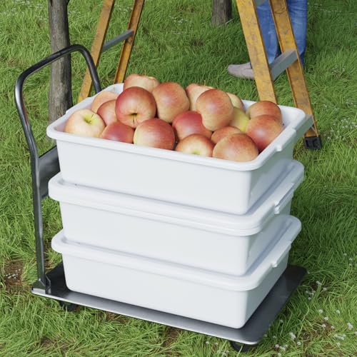 13 L Commercial Bus Tubs with Lid, White Plastic Bus Box, 12 Pack