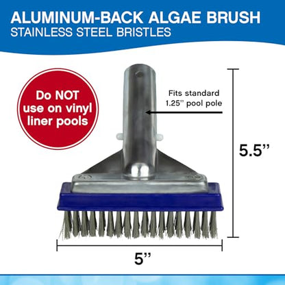 Poolmaster 5-Inch Stainless Steel Pool Algae Detail Brush, Heavy-Duty Aluminum Back, for Gunite Concrete Pools and Spas, Small Narrow Head for Corners, Steps and Tight Areas - size: 5-Inch