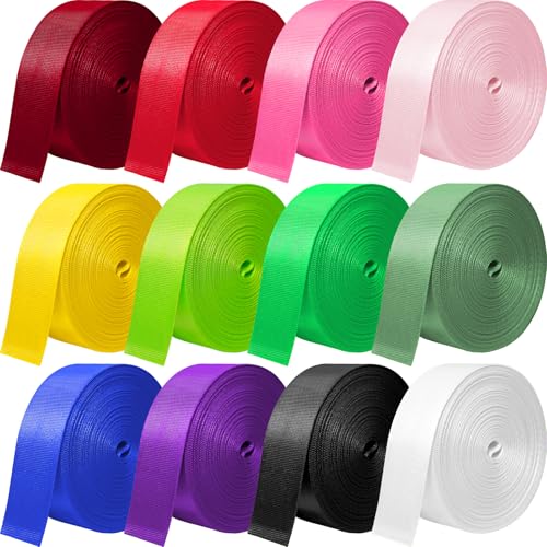 Nylon Webbing 1 Inch 1.5 Inch, 12 Rolls Webbing Strap for Bags, Pets, Climbing Outdoors Indoors Crafting DIY - size: 1 inch-3.3 yards, style: A-12 Colors