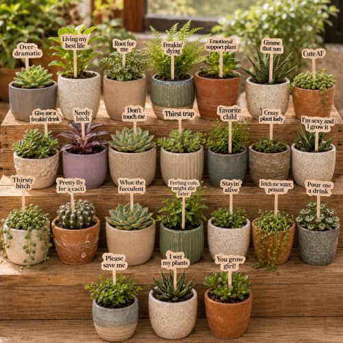 24 Pack Funny Plant Signs Set, Wooden Garden Plants Stakes with Humorous Sayings Gifts for Plant Lovers, Indoor Outdoor Succulents Flower Pots Accessories, Cute Gardening Plants Labels Decor