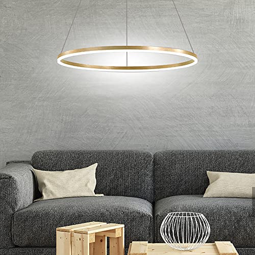 LightInTheBox Modern LED Gold Ring Chandelier, 31.5" Halo Pendant Light Fixture Circle Minimalist Dimmable Hanging Light Metal Acrylic for Living Room Dinning Room Bedroom (Gold) - color: Gold-Dimmbale, size: 80cm