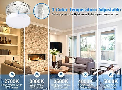 2Pack 13 Inch Oval LED Ceiling Lights, LED Flush Mount Light Fixture, 23W, 2700K/3000K/3500K/4000K/5000K Adjustable, Brushed Nickel Ceiling Mount Light Fixture for Bedroom Kitchen Bathroom - color: Brushed Nickel, size: 13 inch - 2 Pack