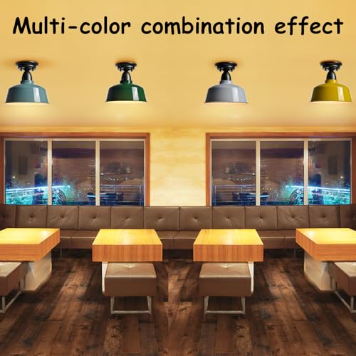 White Macaron Barn Ceiling Light, 10" Indoor Outdoor Fixture - color: White