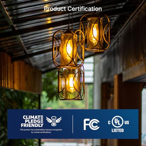 FLSNT 100W Equivalent LED Edison Bulbs, ST19 Dimmable Antique LED Light Bulbs, 2450K Warm White, 8W, 900LM, E26 Base, Amber Glass, 12 Pack - color: 100w 2450k Warm White, size: 12 Count (Pack of 1)