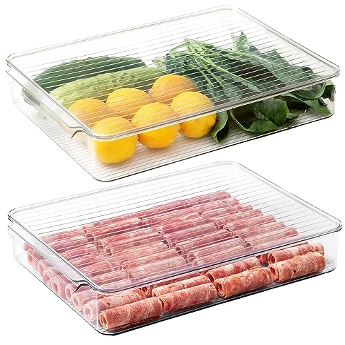 vacane 2 Pack Deli Meat Container for Fridge, Bacon Container with Lids for Refrigerator Fruit, Cold Cuts, Cheese Keeper Marinade Tray, Stackable Freezer Storage Containers - color: Tray-L