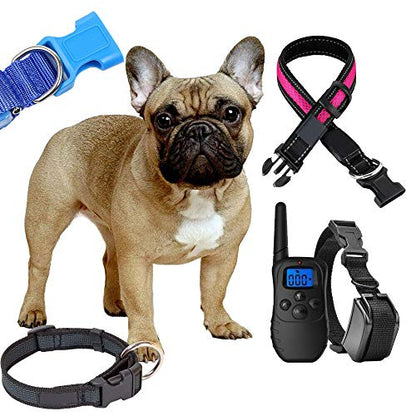 CooBigo 5 Pack 3/4" Side Release Buckle Dual Adjustable 5 Yards 3/4" PP Strap Webbing Outdoor Camping Backpack Sleeping Bag Tent Belt Tied Band Accessories (5 Buckle + 5 Yards Webbing) - color: G#: 3/4" (5 Buckle + 5 Yards Webbing)