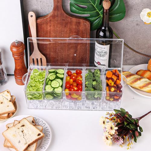 Chilled Condiment Server with 5 Containers & Lids,Ice Tray for Bar & Party