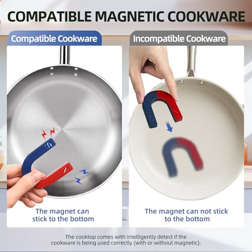 Induction Cooker, 2200W Commercial Induction Cooktop, Large Countertop Burner with 10 Cooking Functions & Dual IGBT for Safe Use, Portable Stainless Steel Hot Plate with 3 Hours Timer, 120V