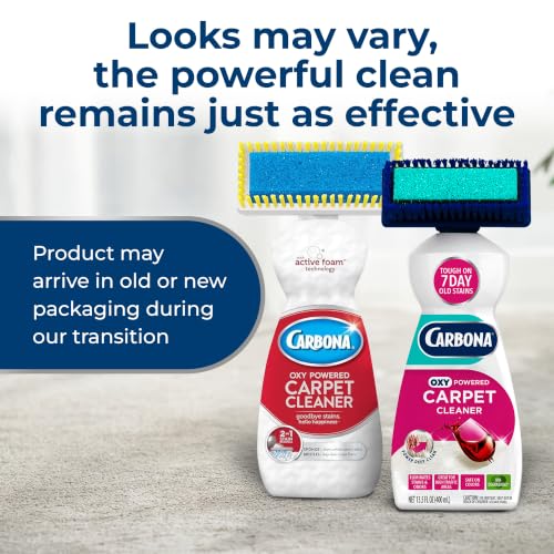 Carbona 2-in-1 Oxy-Powered Carpet Cleaner (13.5 Fl Oz), Spot Cleaner with Dual Sponge & Bristle Applicator for Targeted Cleaning, Fast Formula - size: 13.5 Fl Oz