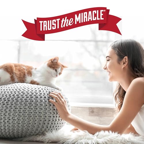 Nature's Miracle Carpet Shampoo Pet Stain & Odor Remover, 64 oz (4 Pack) - size: 64 Ounce (Pack of 4)