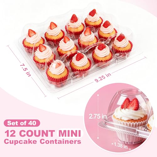 LotFancy (12 Count x 40 Sets) Mini Cupcake Containers with 480 Liners, Clear Plastic Cupcake Boxes Holders, Dozen Disposable Cupcake Carriers with Detachable Lid - size: Mini (40 sets)