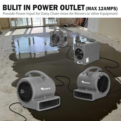 MOUNTO 1/4hp 1000CFM 2 Speed Air Mover Carpet Dryer Floor Fan Cooling Fan (Grey) - color: Grey