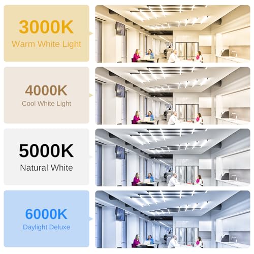 LightingWill LED T8 Light Tube 3FT, Warm White 3000K-3500K, Dual-End Powered Ballast Bypass, 2000Lumens 15W (32W Fluorescent Equivalent), Frosted Cover, AC85-265V Lighting Tube Fixtures, 1Pack - color: Warm White, size: 3FT-1 Pack
