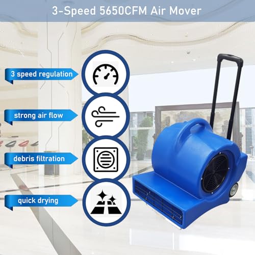 INTSUPERMAI 3-Speed Air Mover 1.2HP/900W Floor Blower 5650CFM Air Mover Carpet Dryer Commercial Floor Drying Fan Floor Fan Janitor for Floor Drying,Blue 110V